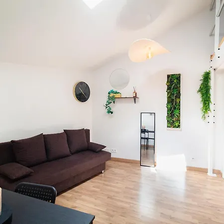 Le Accueil Viennois/t2/wifi/cosy/parking Apartment