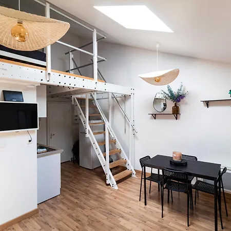 Lägenhet Le Accueil Viennois/t2/wifi/cosy/parking