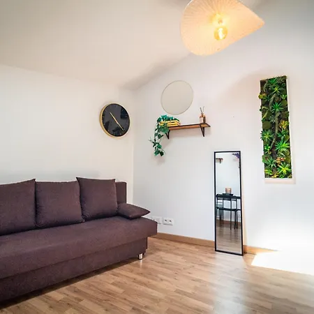 Lägenhet Le Accueil Viennois/t2/wifi/cosy/parking