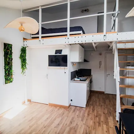 Apartament Le Accueil Viennois/t2/wifi/cosy/parking *