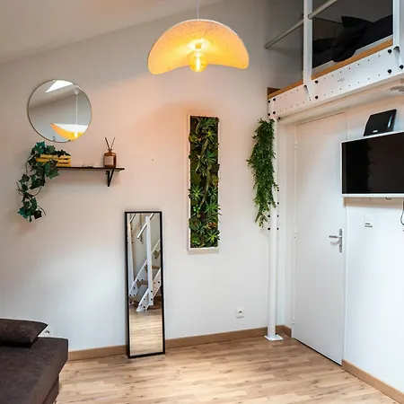 Lägenhet Le Accueil Viennois/t2/wifi/cosy/parking