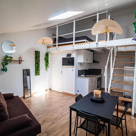 Lägenhet Le Accueil Viennois/t2/wifi/cosy/parking Poitiers