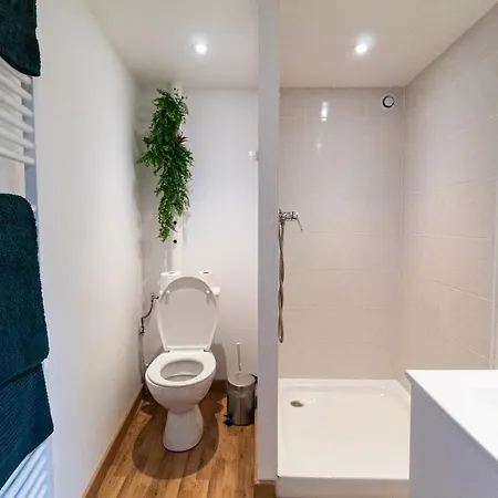 Le Accueil Viennois/t2/wifi/cosy/parking Apartament Poitiers